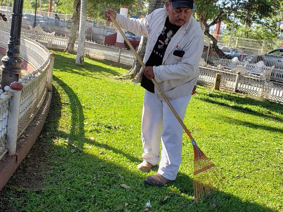 Boletín 228