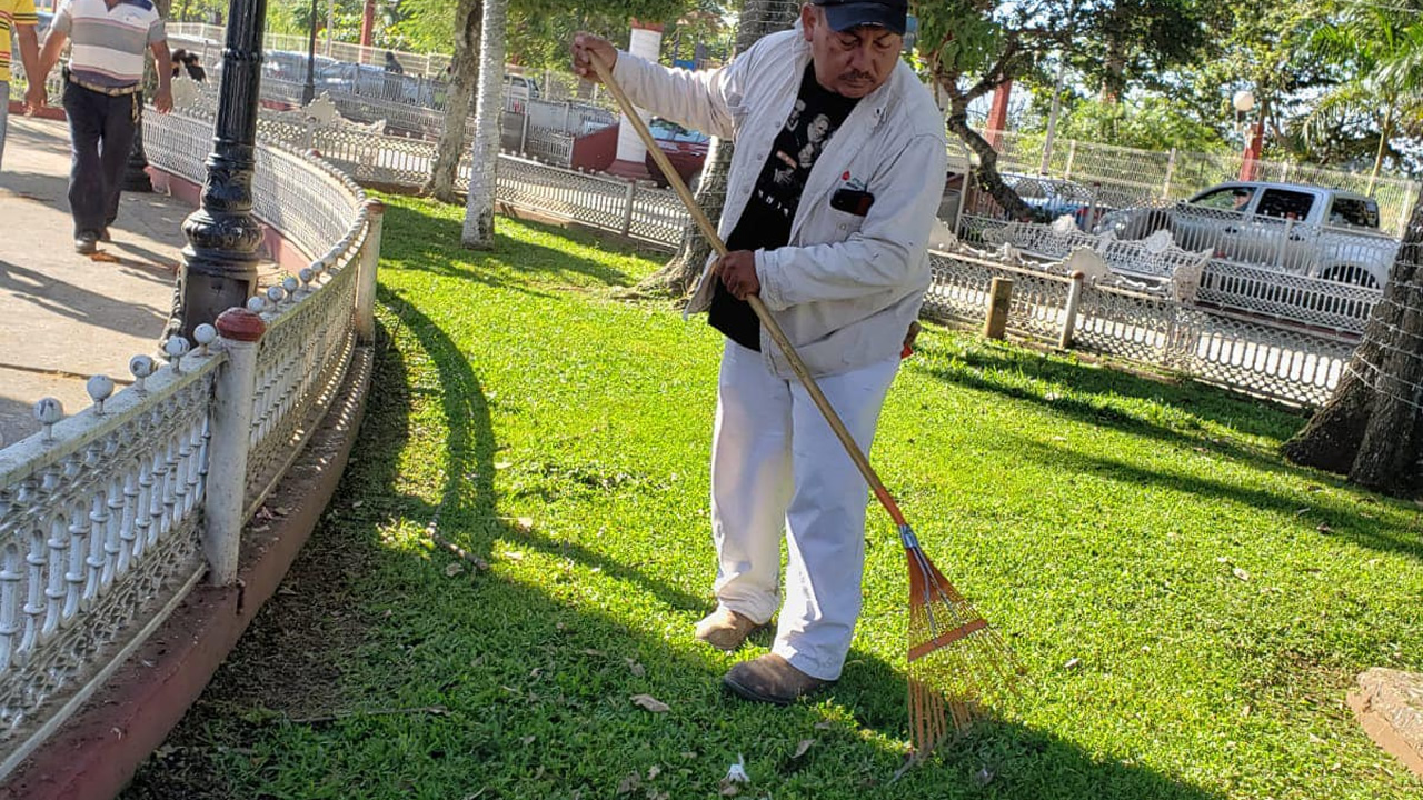 Boletín 228