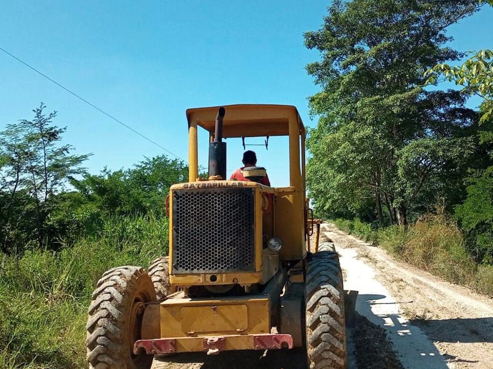 Boletín 233