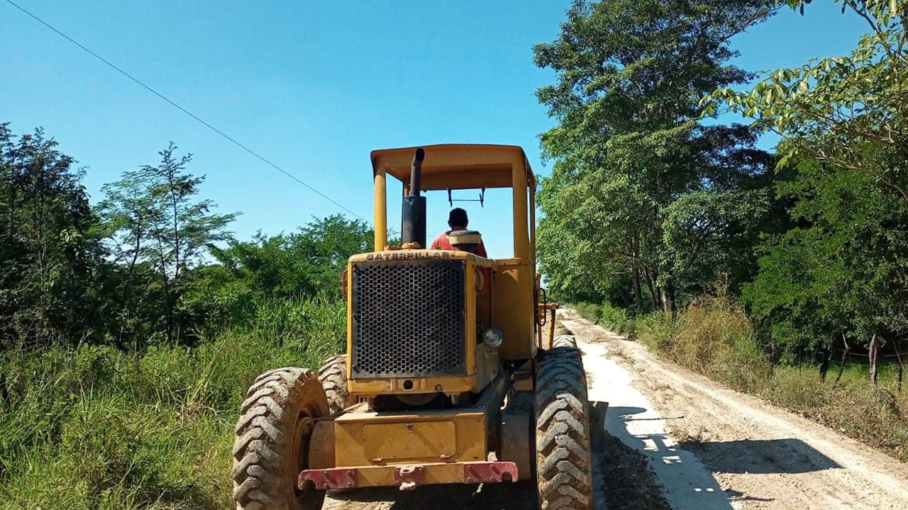 Boletín 233