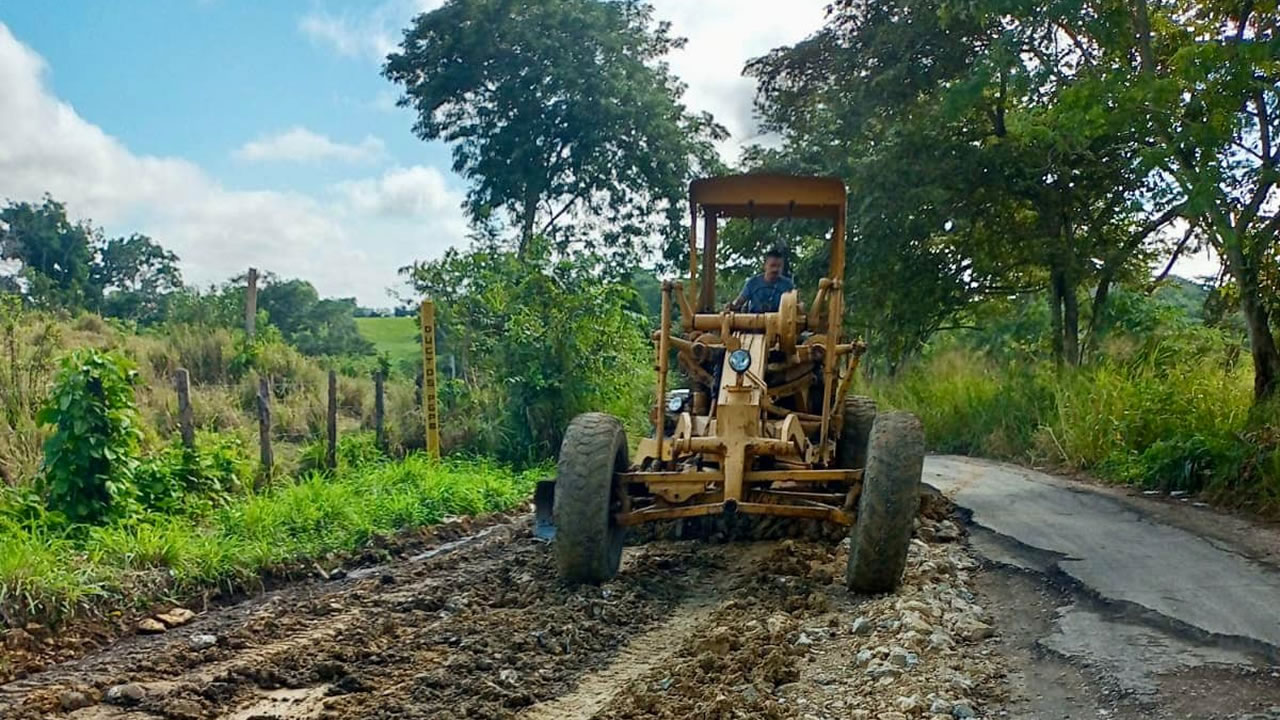 Boletín 255