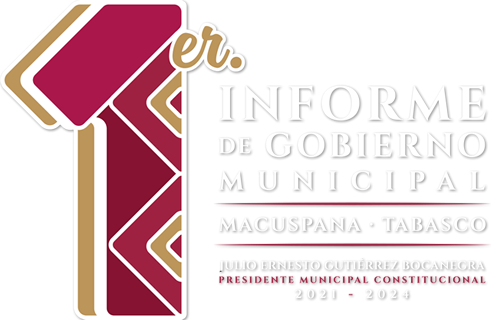 1er Informe de Gobierno